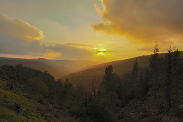 Obraz premium Golden Hour in the Judea Mountains, near Jerusalem