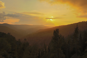 Golden Hour in the Judea Mountains, near Jerusalem