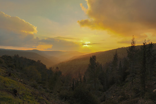 Golden Hour in the Judea Mountains, near Jerusalem