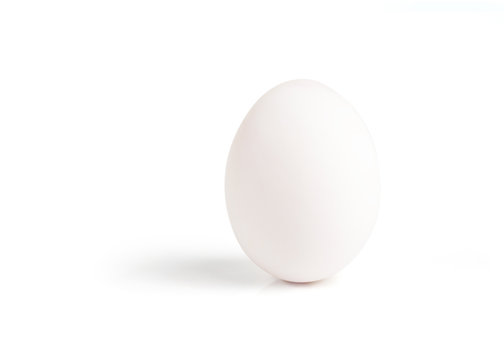 A single white duck egg isolated on a white background