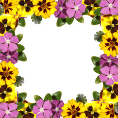 Beautiful floral background of phlox, pansies and marigolds 
