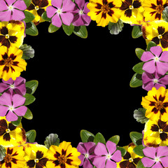 Beautiful floral background of phlox, pansies and marigolds 