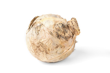 Rotten cabbage isolated on white background.