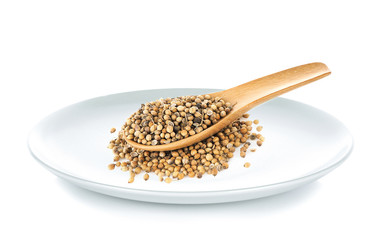 coriander seeds in wood spoon on white background