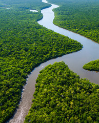 Fototapeta na wymiar Aerial view, Everglades Natuional Park, FLORIDA, USA, AMERICA