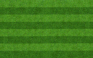 Green grass field background for soccer and football sports. Green lawn pattern and texture background. Close-up.
