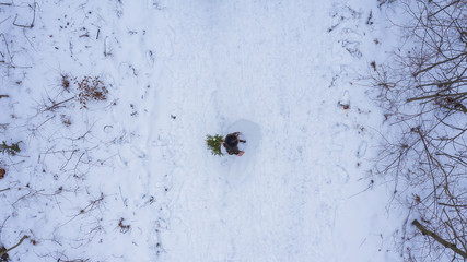 Winter wedding and snowy forest landscape view from the drones above the ground forest road covered with snow from the middle height during flight