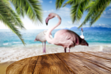 Fototapeta na wymiar Desk of free space and flamingos on beach 