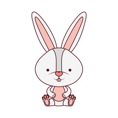 cute rabbit isolated icon