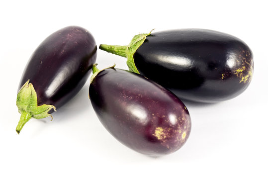 Aubergine Rania F1