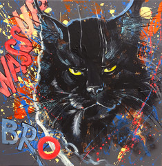 Funny and expressive black maine coon cat,  with motto and elements of graffiti and street-art style. Original acrylic painting on canvas.