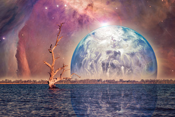 Unreal alien landscape - bare tree growing in water with rising planet. Elements of this image are...