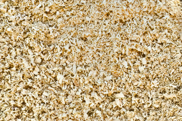 Sawdust texture background close - up top view