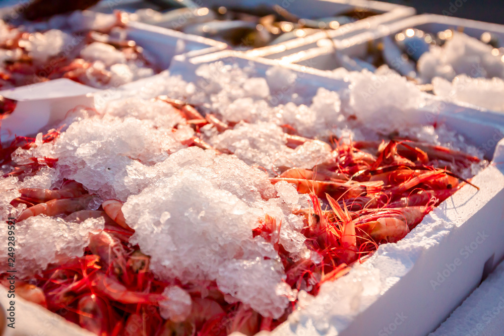 Wall mural Fresh shrimp on Ice at outdoor fish flea market