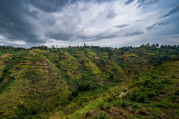Beautiful landscape in southwestern Uganda, at the Bwindi Impenetrable Forest National Park, at the borders of Uganda, Congo and Rwanda. The Bwindi National Park is the home of the mountain gorillas