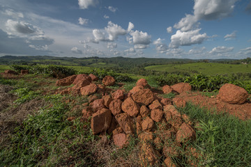 Beautiful landscape in southwestern Uganda, at the Bwindi Impenetrable Forest National Park, at the...