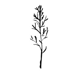 Tree silhouette. Hand drawn vector illustration.
