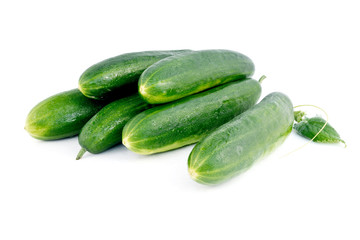 Gurke Qualitas