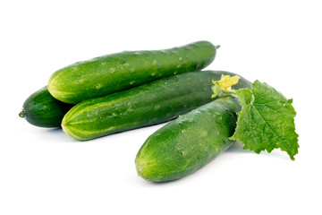 Gurke Tanja