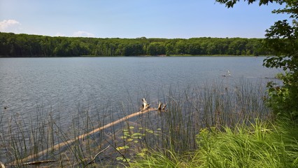 Kettle's Lake