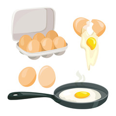 chicken eggs, whole, broken, cooking eggs, vector set