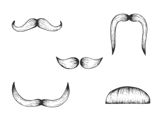 Moustache engraving vector illustration. Scratch board style imitation. Black and white hand drawn image.