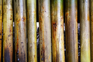 glutinous rice roasted in bamboo joints / thai dessert with sticky rice soaked in coconut milk