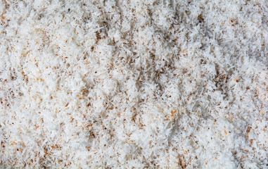 Shredded coconut scraping out of fresh for coconut milk on background