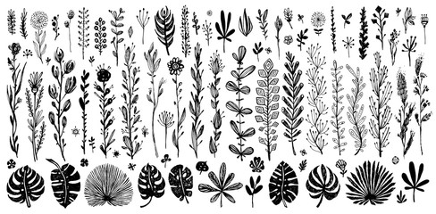 big Set of black floral doodle elements. exotic tropical leaves on a white background. Vector botanical illustration. Great design elements for congratulation cards, banners