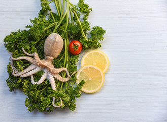 Fresh seafood squid on green parsley herbs spices tomato and lemons / Raw octopus