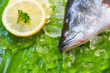 Fresh sea bass fish for cooking / Seafood raw seabass plate ocean gourmet on ice