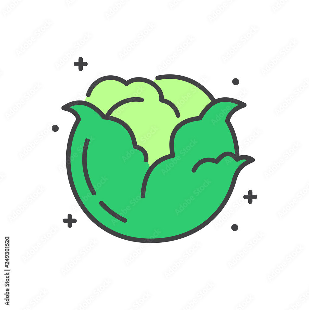 Poster cabbage line icon on white background for graphic and web design, modern simple vector sign. interne