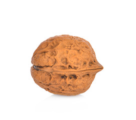 Walnut isolated on white background.