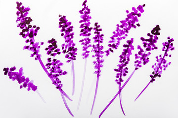 Top view of purple watercolor flowers on white background