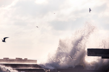 Waves crashing on a concrete pier and seagulls in a spray of raging waves.