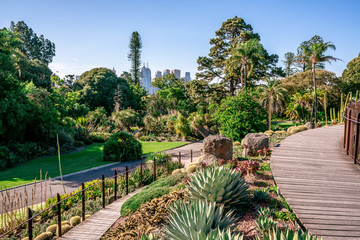 Royal Botanical gardens scenic view in Melbourne VicAustralia