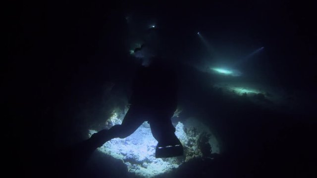 Scuba Divers Torches Underwater Night Blackwater Red Sea Egypt