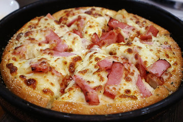 Closeup of Delicious Bacon and Cheese Pizza
