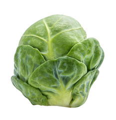 Fototapeta premium Brussels sprouts isolated on white background