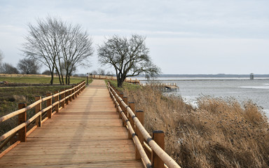 Obraz premium Wooden path over a lake.