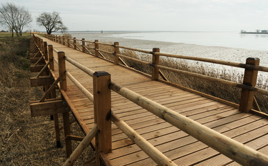 Wooden path over a lake.