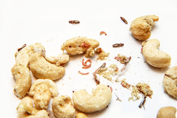 A picture of cashew nuts infested with caterpillars and butterflies of the meal moth. Isolated on a white background. 