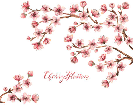 Cherry blossom,spring flowers watercolor illustration,branches, flowers,handmade,card for you