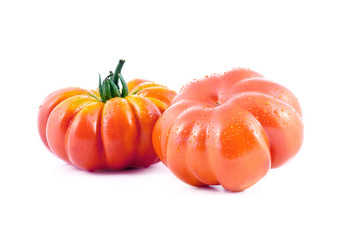 Tomate Costoluto Genovese