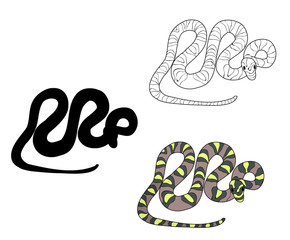 isolated, snake set, on white background, flat style