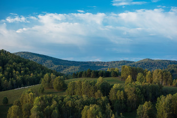 Obraz premium A herd of sheep in the Altai mountains. Beautiful mountain summer landscape view: green meadows, blue sky, purity air.