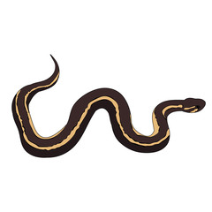  snake, on a white background, flat style snakes