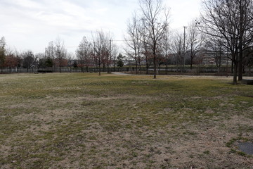 冬の公園