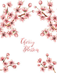 Obraz na płótnie Canvas Cherry blossom,spring flowers, watercolor illustration,card for you,handmade,buds,branches, flowers