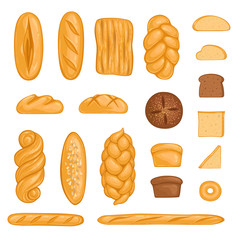 Set of bakery products. Bread, loaf, hala, baguette and rye bread in cartoon style